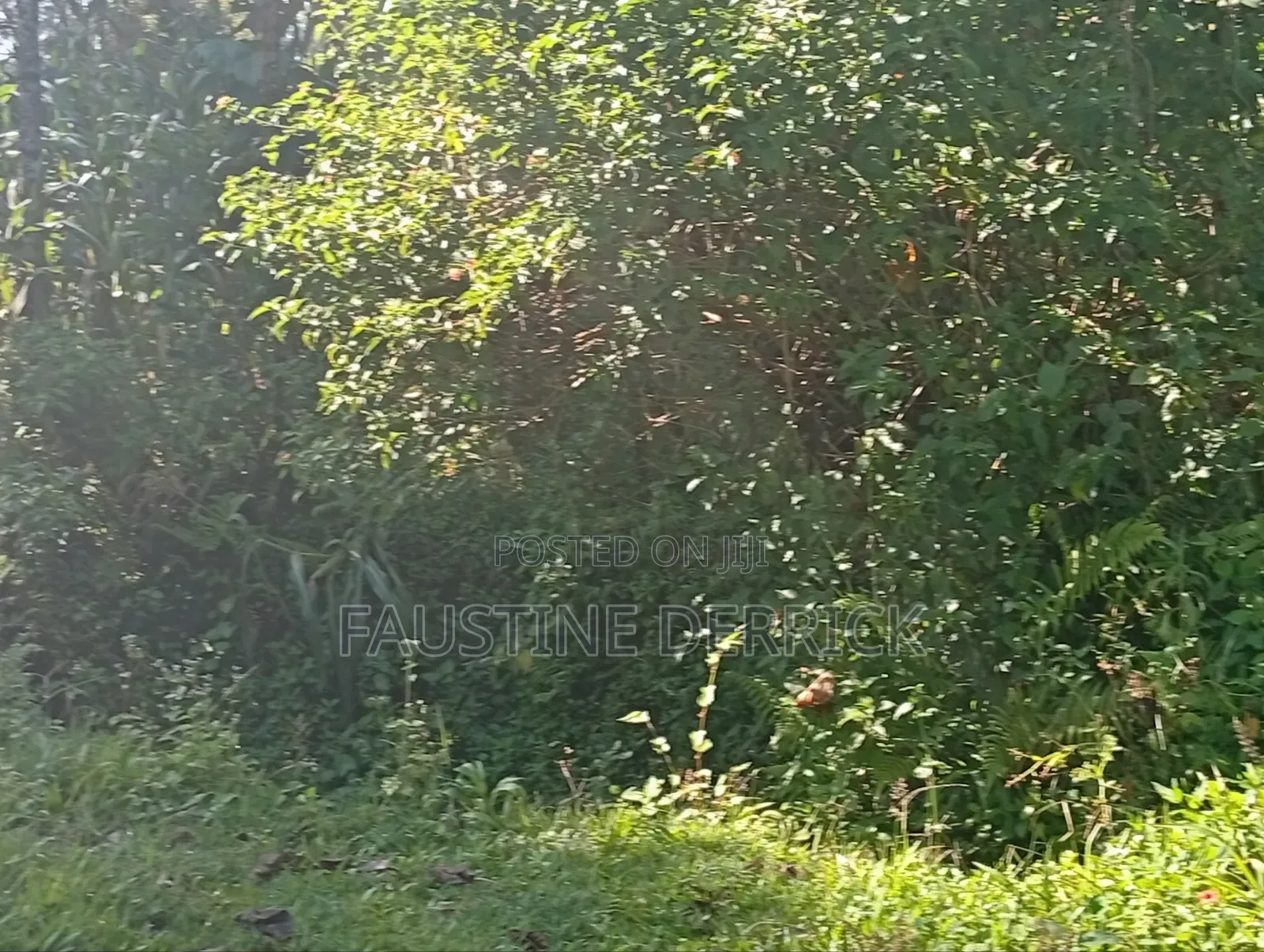 Land on Sale 2acres