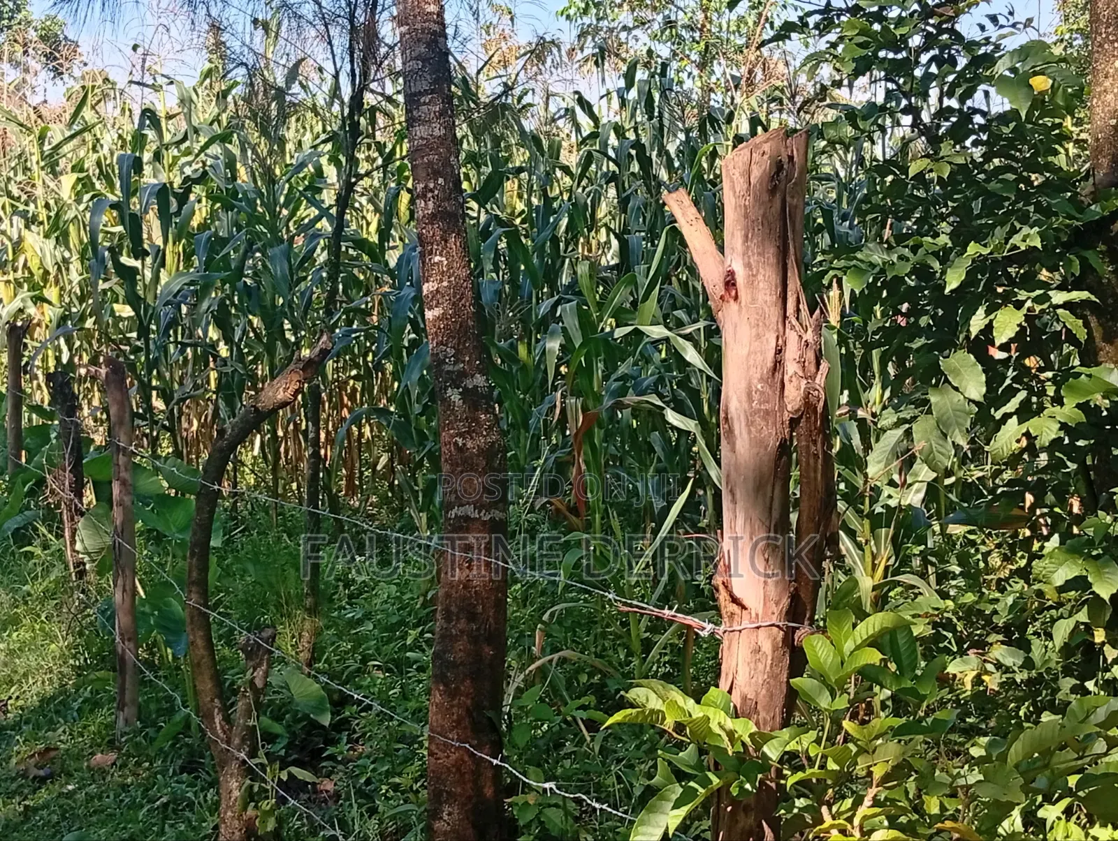 Land on Sale 2acres