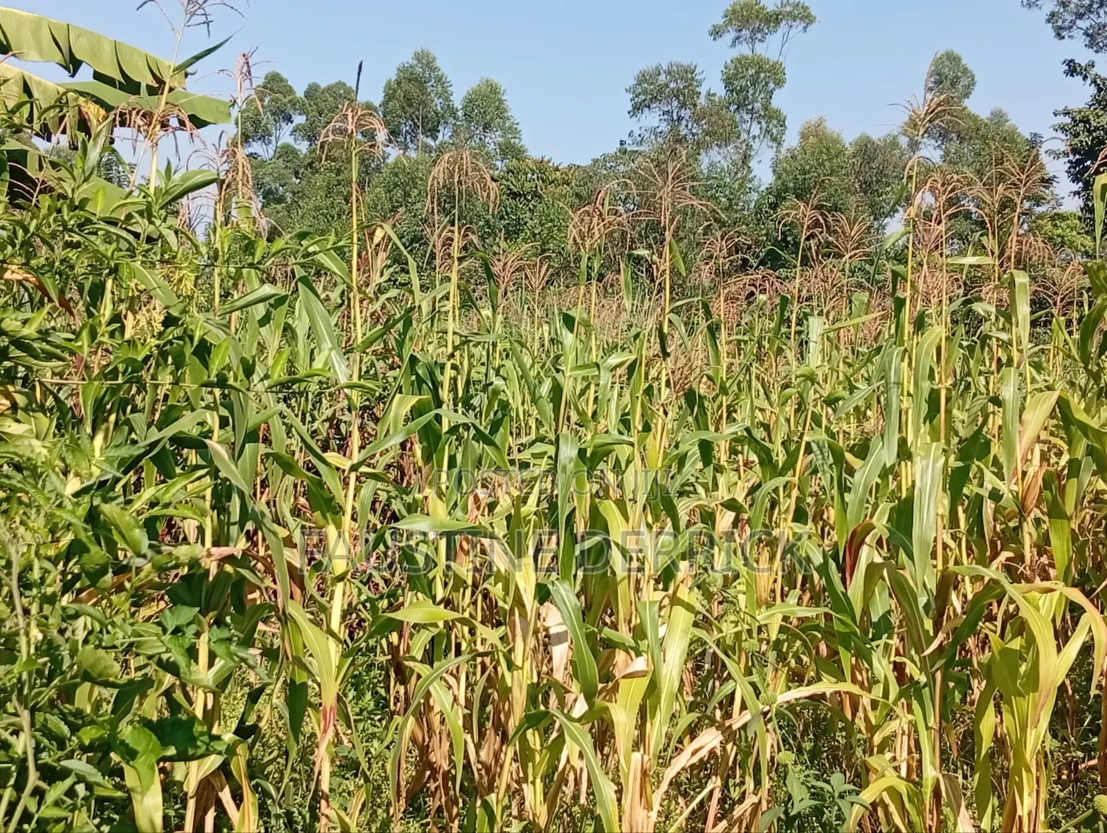 Land on Sale 2acres