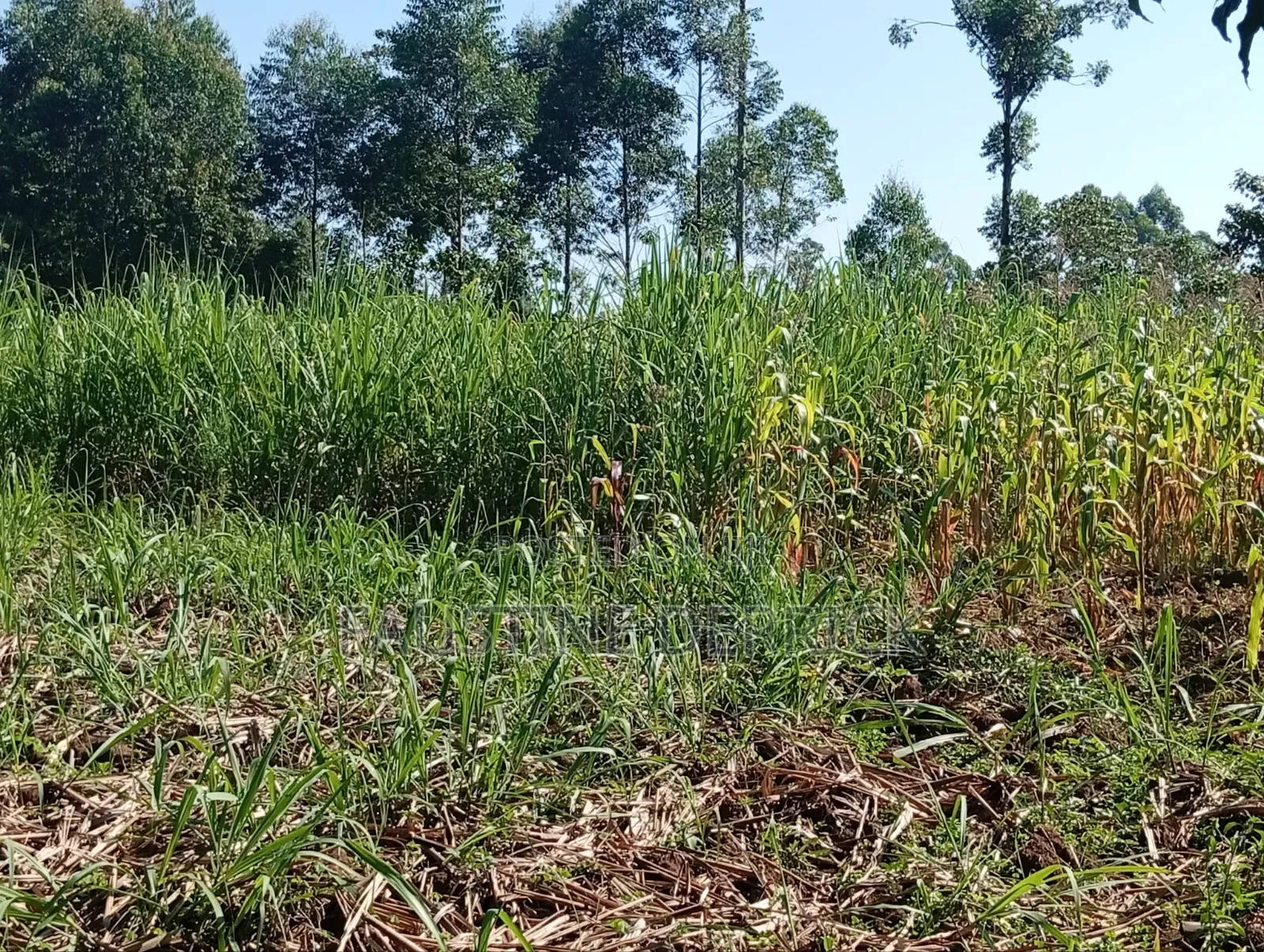 Land on Sale 2acres
