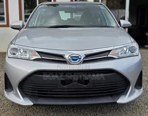 Toyota Axio 2019 Silver