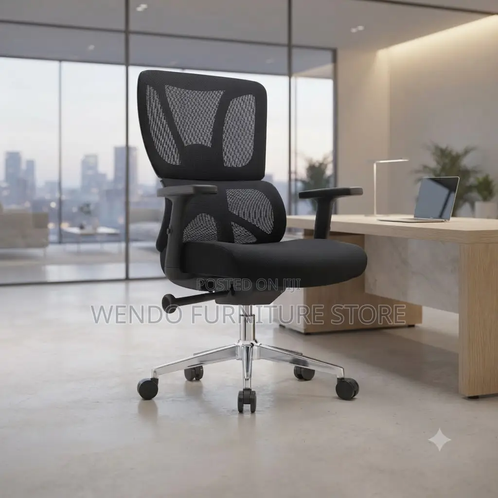 Office Chairs; Orthopedic High Back Extreme Office Chairs