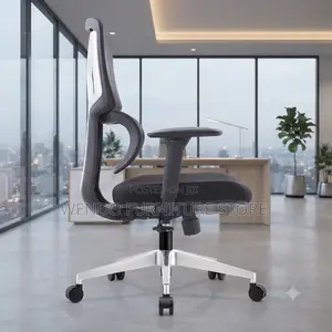 Office Chairs; Orthopedic High Back Extreme Office Chairs