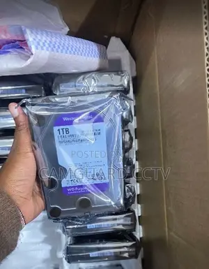 Quality WD 1TB Surveillance HDD for CCTV Systems and Desktop