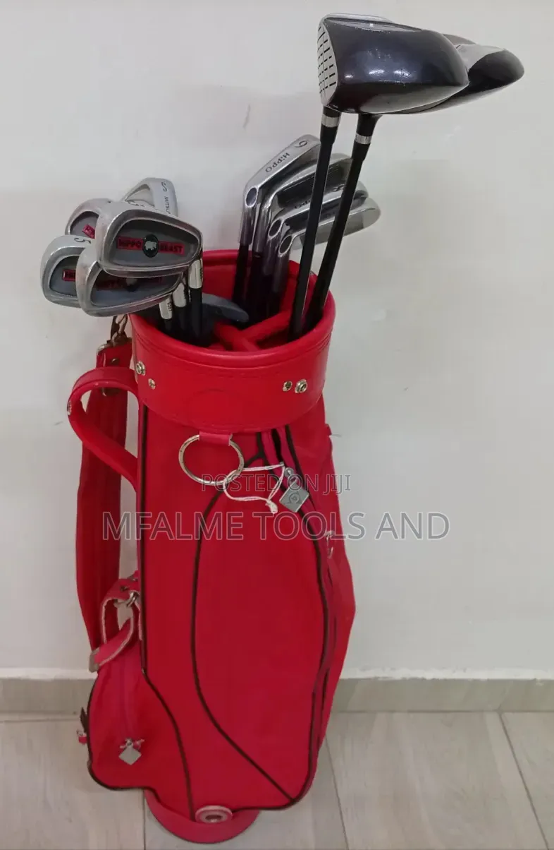 Ex-Uk Hippo Beast Ladies Golf Set