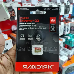 SANDISK Extreme GO microSDTM UHS-I Card - 256GB.