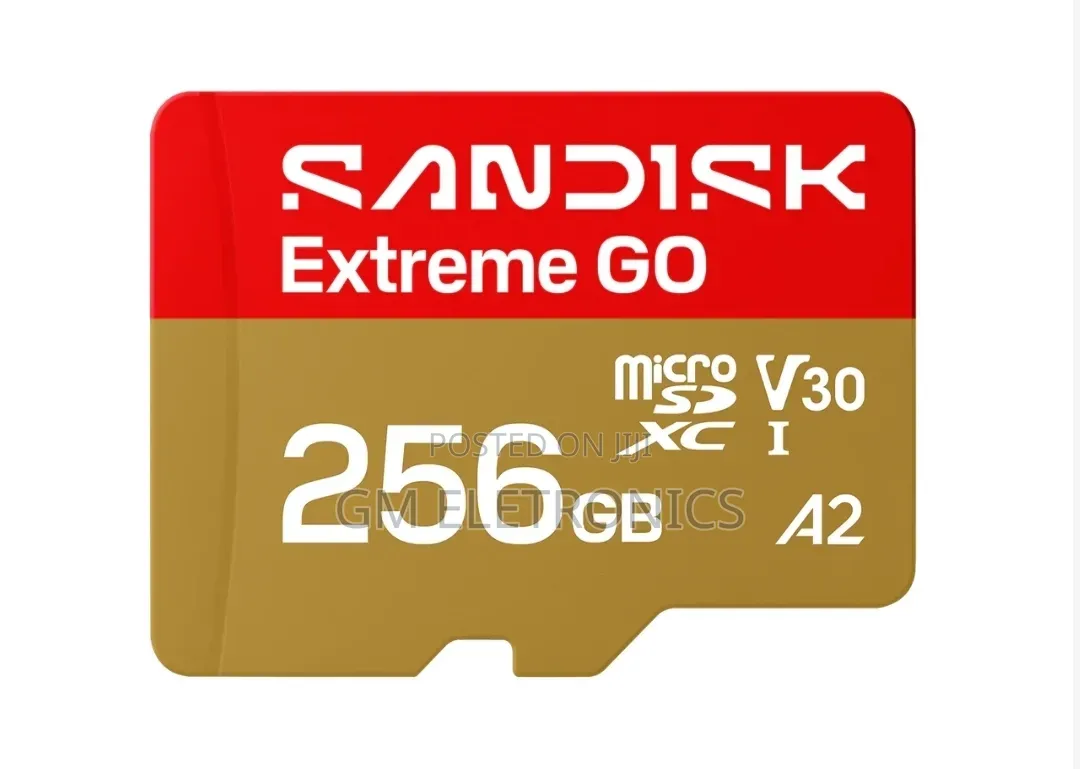 SANDISK Extreme GO microSDTM UHS-I Card - 256GB.