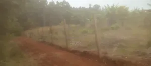 Prime Land Touching Permanent River in Mathira