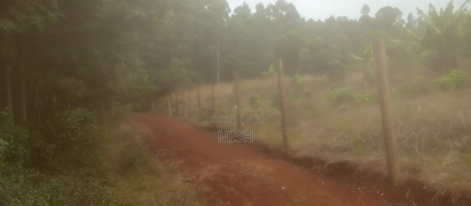 Prime Land Touching Permanent River in Mathira