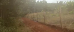 Prime Land Touching Permanent River in Mathira