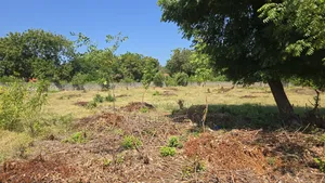 2nd Row Beach Property Kilifi Bofa 1acre Land