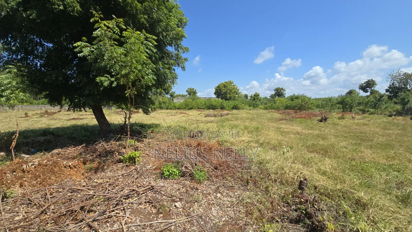 2nd Row Beach Property Kilifi Bofa 1acre Land