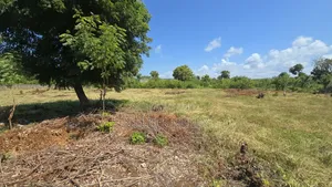 2nd Row Beach Property Kilifi Bofa 1acre Land