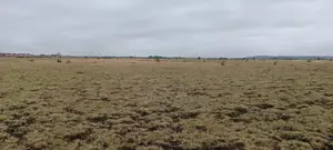 Land for Sale in Juja-Kiambu County