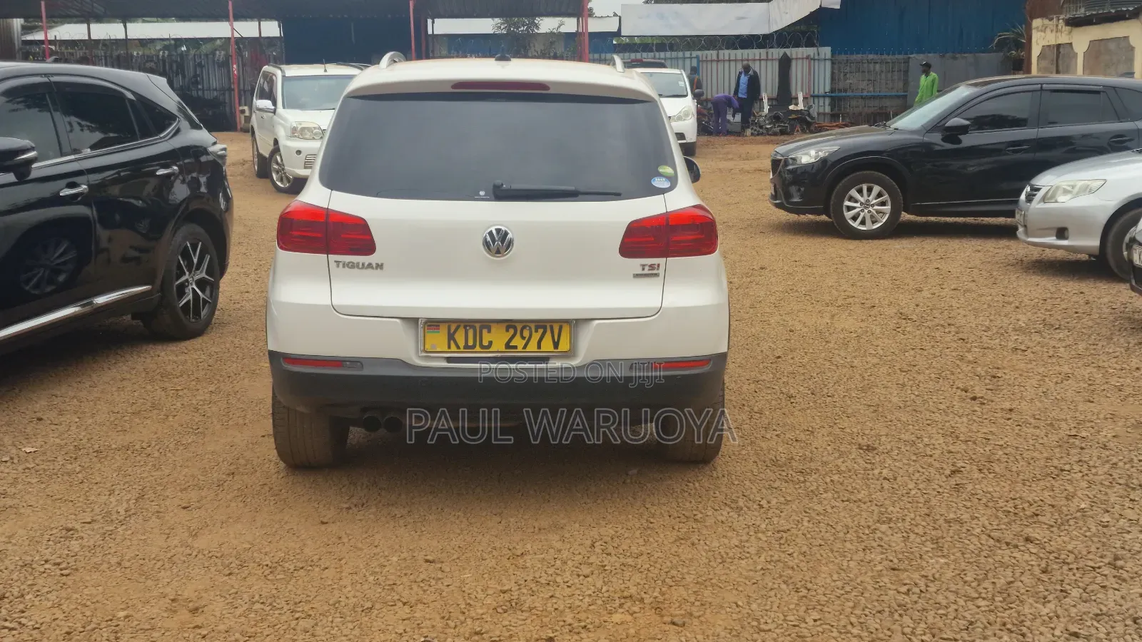 Volkswagen Tiguan 2013 White