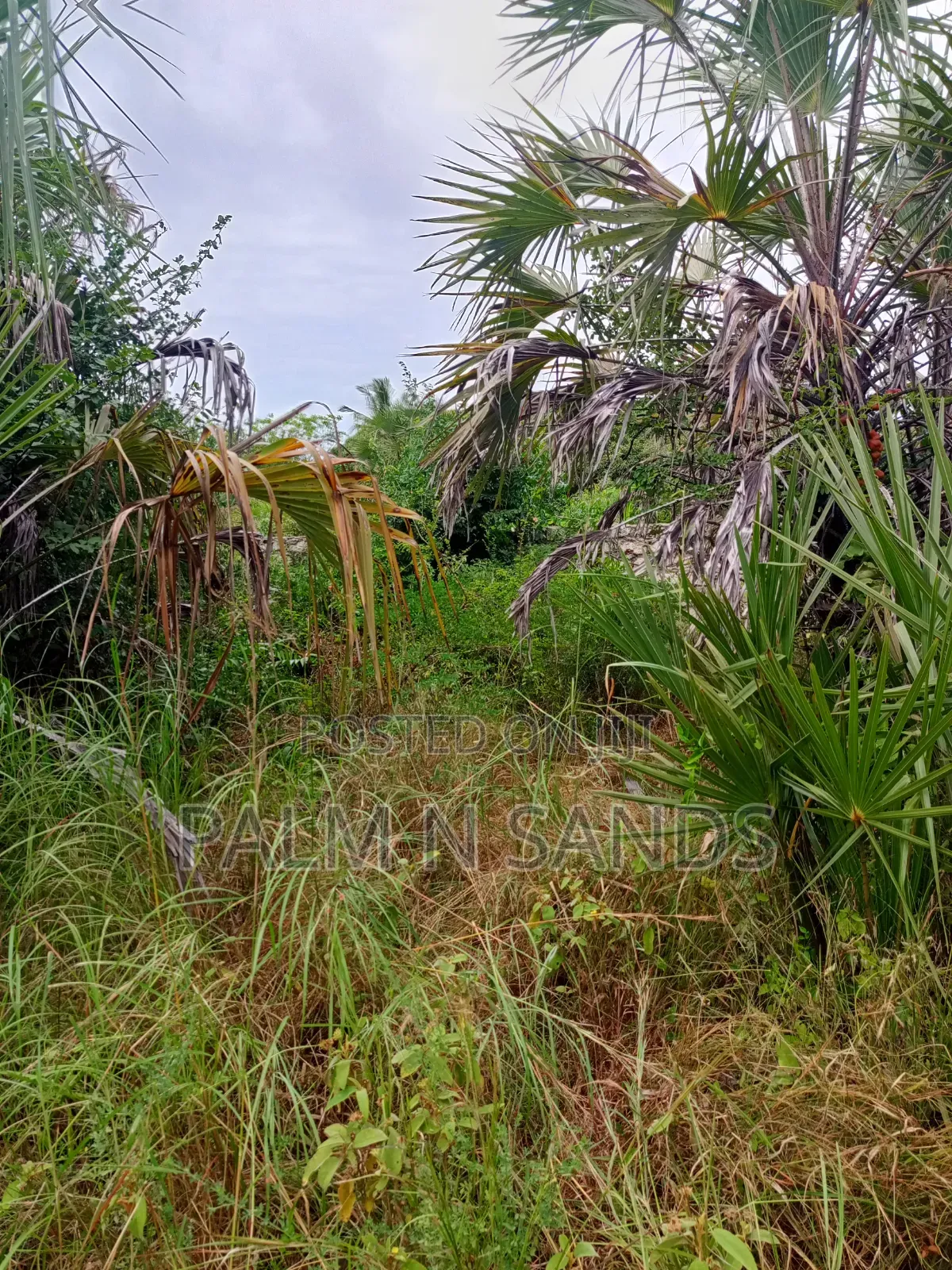 1/4 Acre on Sale in Kinondo Diani