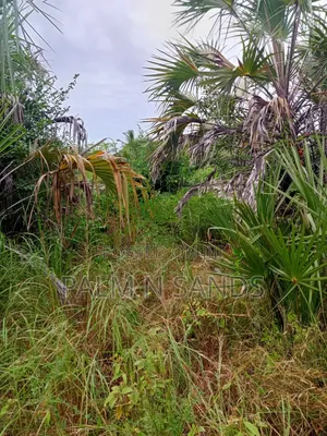 1/4 Acre on Sale in Kinondo Diani