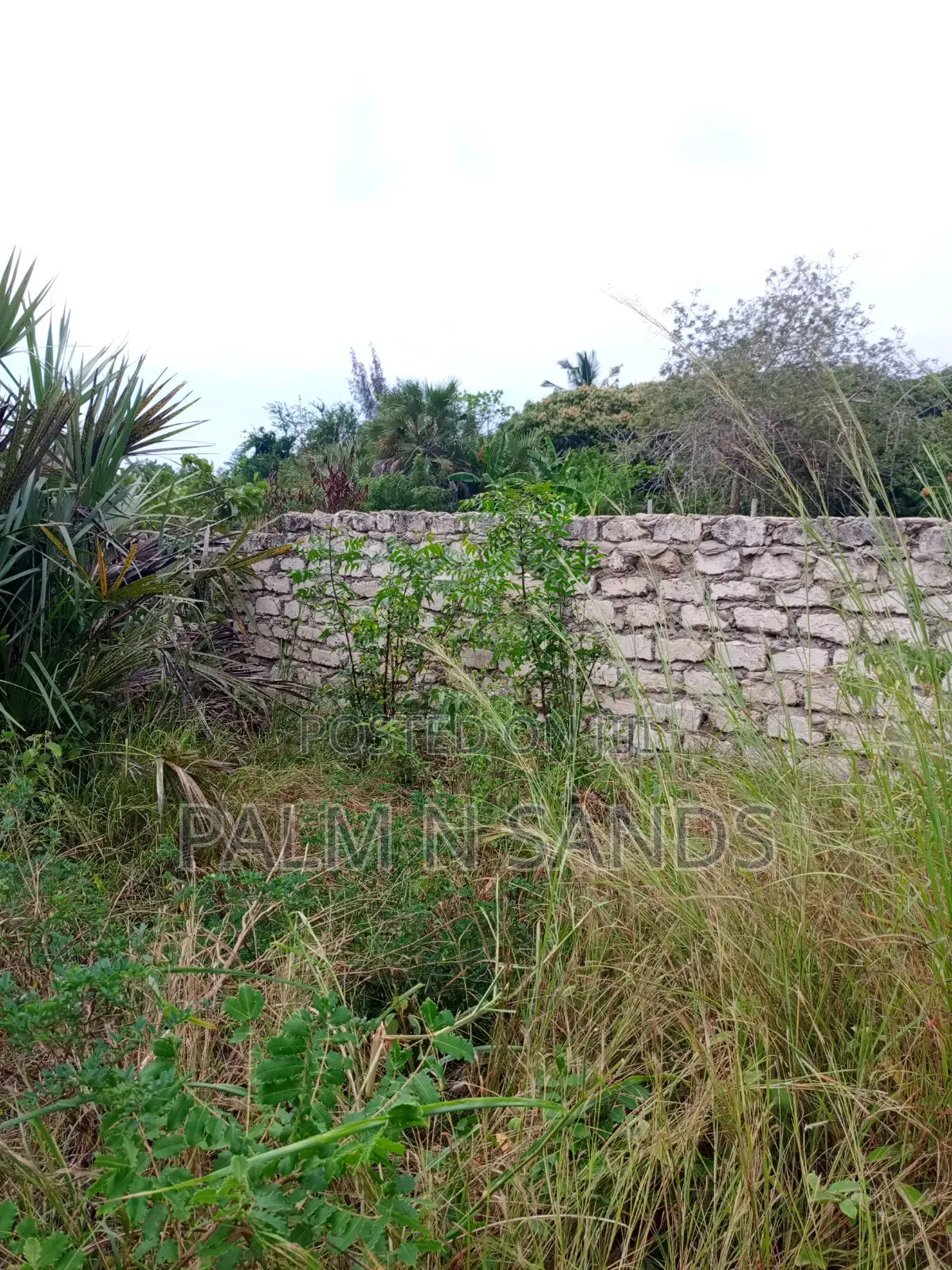 1/4 Acre on Sale in Kinondo Diani