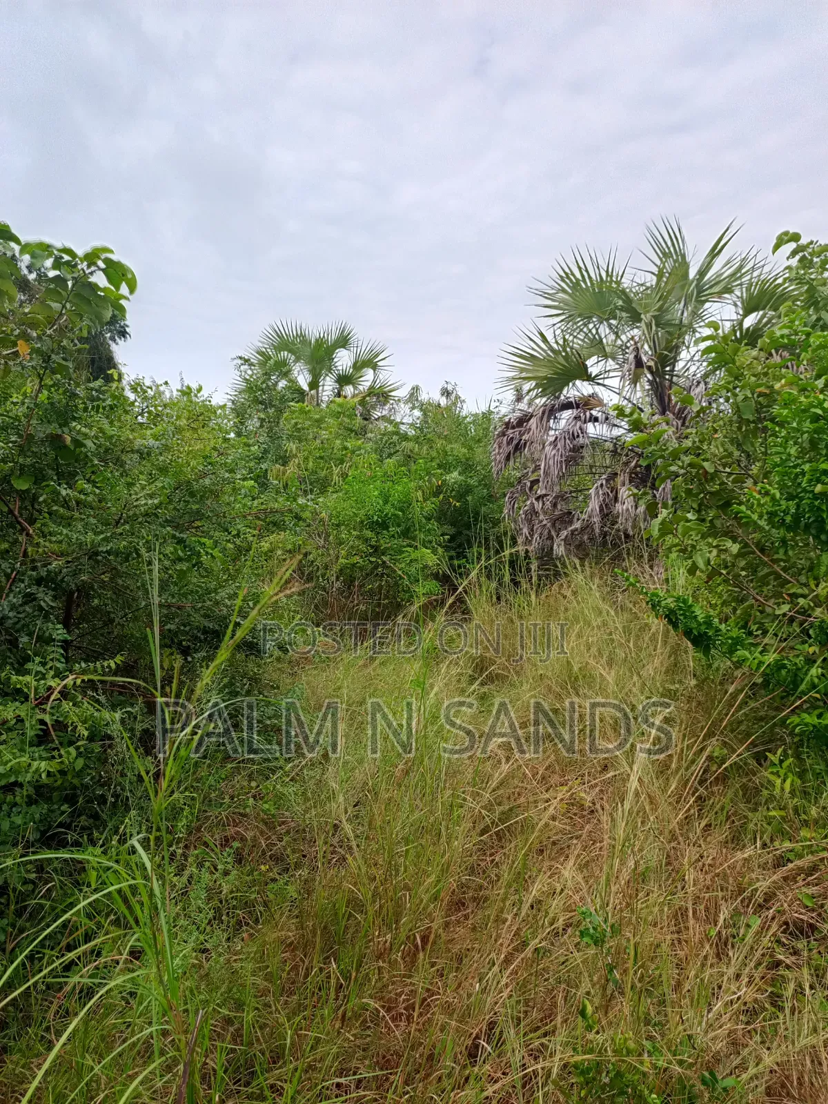1/4 Acre on Sale in Kinondo Diani