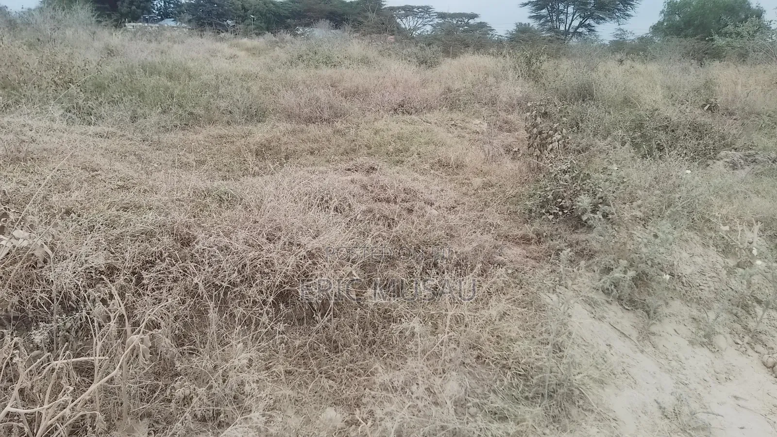 Residential Land for Sale
