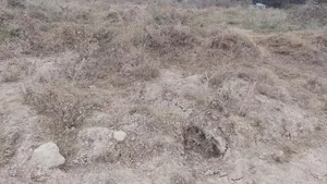 Residential Land for Sale