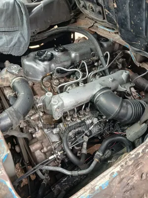 Mitsubishi Fuso 2009 Blue