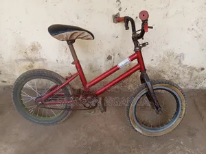 Bike Size 16