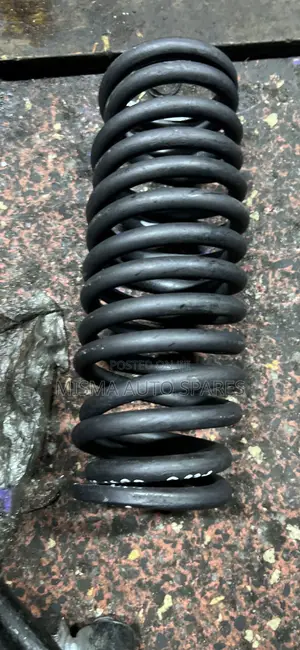 Vanguard Rear Springs Pair