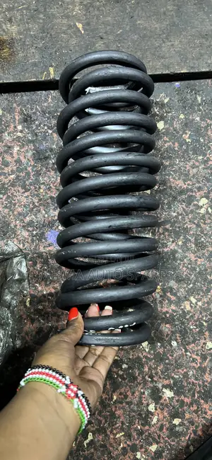 Vanguard Rear Springs Pair