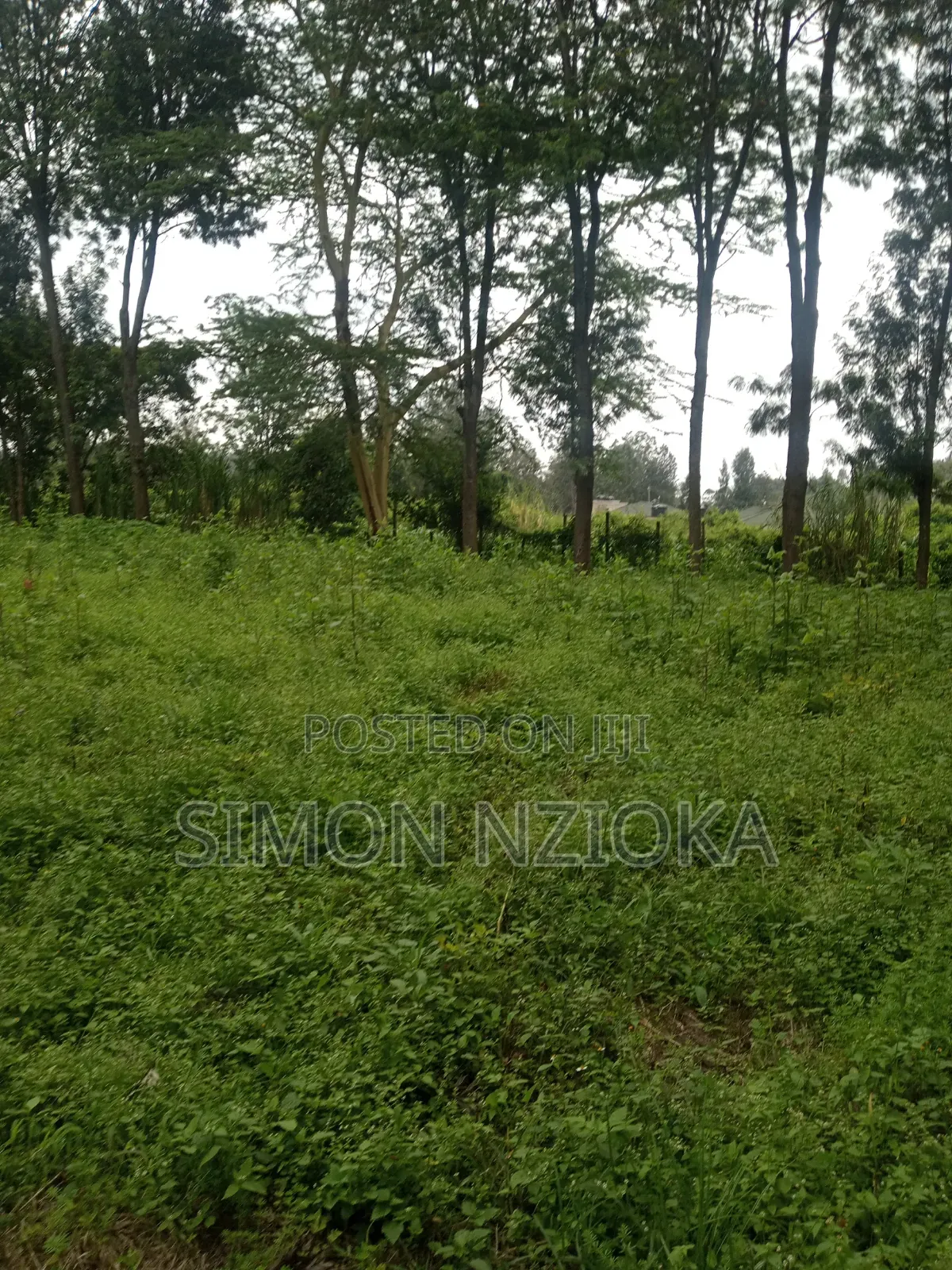 5 Acres for Sale Matasia, Ngong