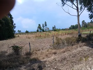 One Acre Fronting Tarmac