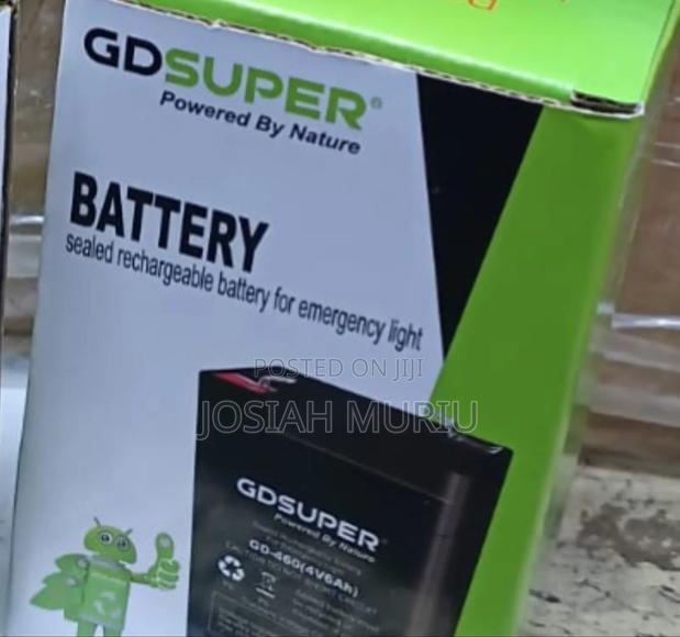 GD 6v Super Rechargeable Battery - thumbnail 2