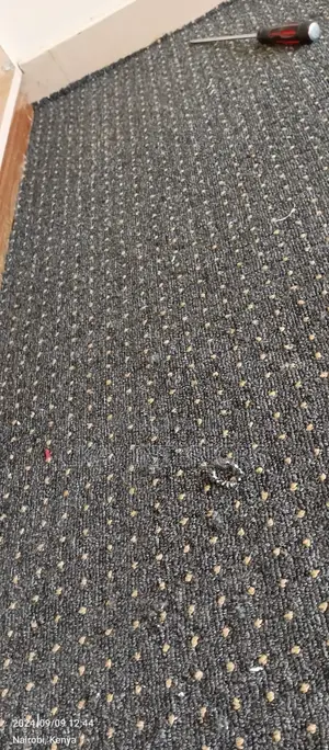 Cosy Flooring With Maasai Mara 5mm Wall to Wall Carpets