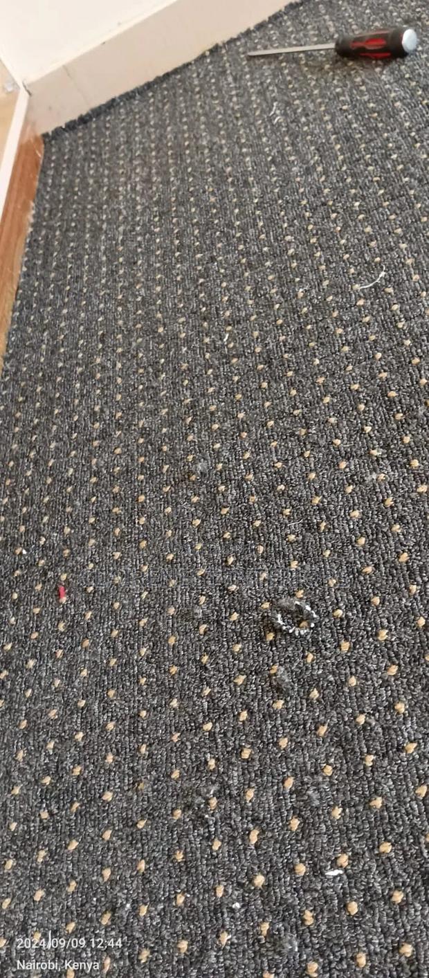 Cosy Flooring With Maasai Mara 5mm Wall to Wall Carpets - thumbnail 2