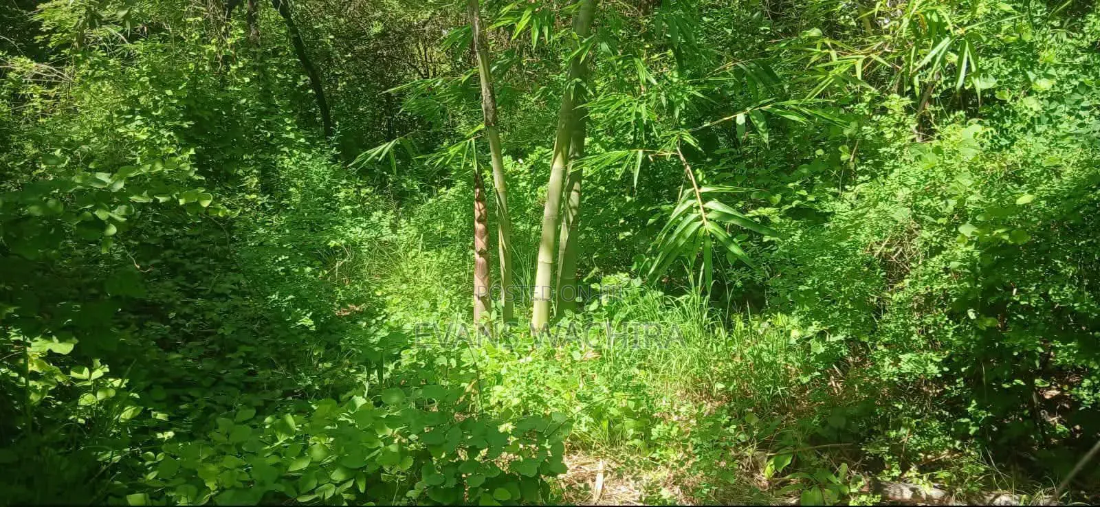 5.4 Acres Mwea