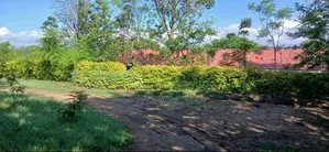 5.4 Acres Mwea