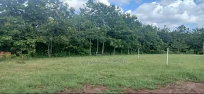5.4 Acres Mwea
