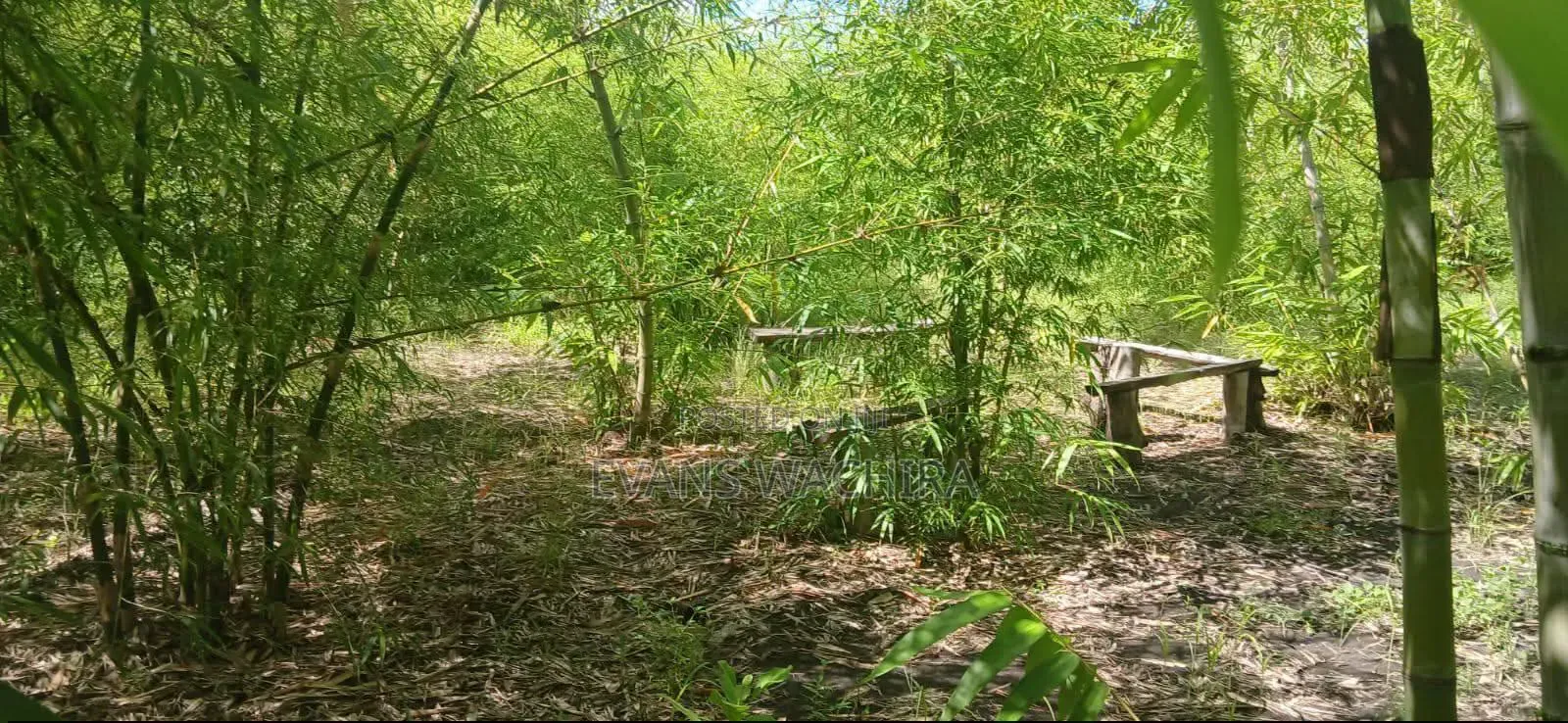 5.4 Acres Mwea