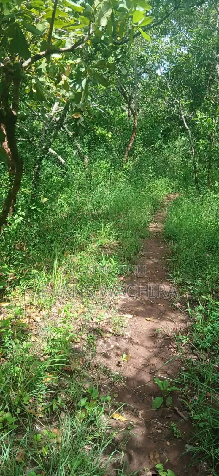 5.4 Acres Mwea