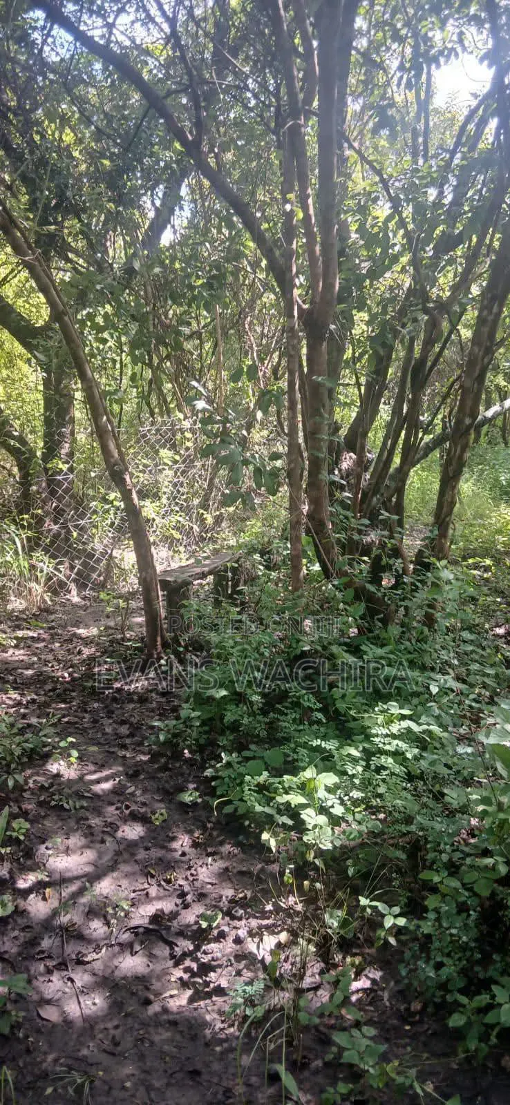 5.4 Acres Mwea