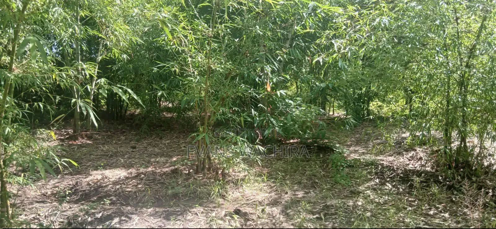 5.4 Acres Mwea