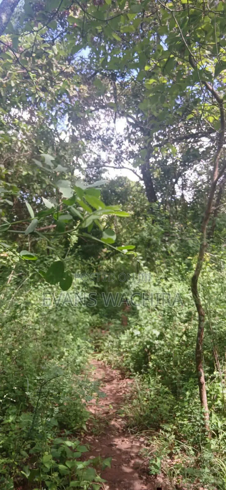 5.4 Acres Mwea