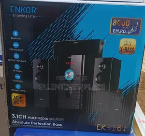 Radio System ENKOR 3.1 EK3161