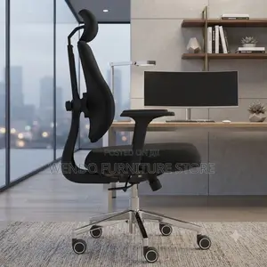Office Chairs; Executive Black Modern Pioneers Senior Orthopedic Chair