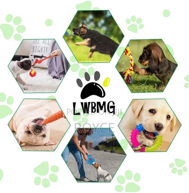 Dogs Chew Set Toys - thumbnail 4