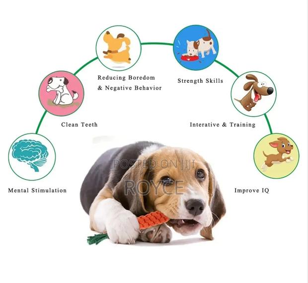 Dogs Chew Set Toys - thumbnail 5