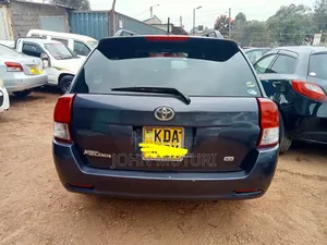 Toyota Corolla Fielder 2013 Gray