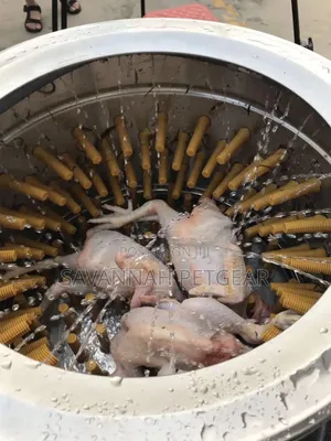 Stainless Steel Electric Chicken Plucker Machine Poultry Processing