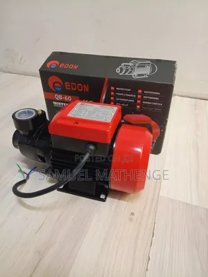 EDON QB-60 Electric Water Pump 220V – Reliable Home Irrigation Pump