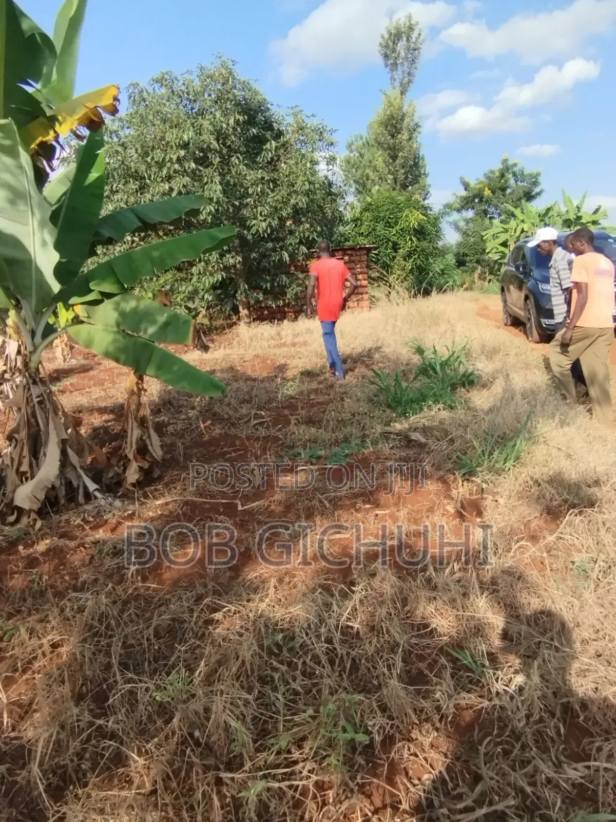 Sagana One and a Half Acres for Sale Nairobi -Nyeri Highway
